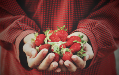 hand full of strawberries
